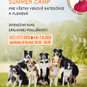 Summer camp