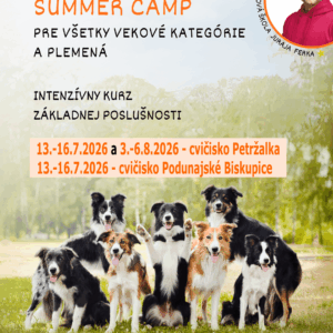 Summer camp