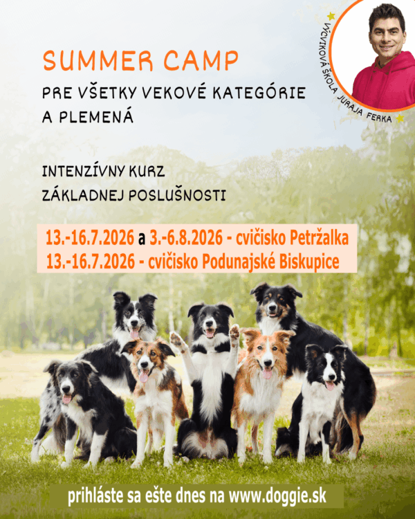 Summer camp