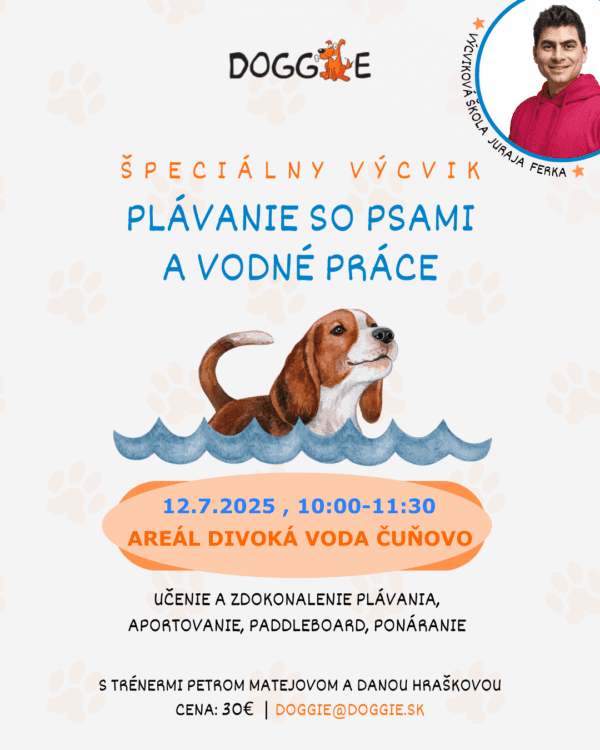 Špeciálny výcvik - plávanie so psami a vodné práce