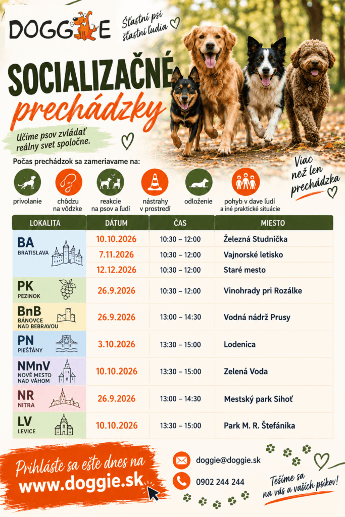 Špeciálny výcvik - socializačná prechádzka