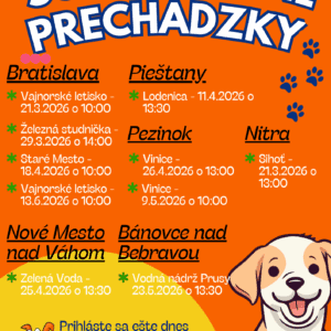 Špeciálny výcvik - socializačná prechádzka