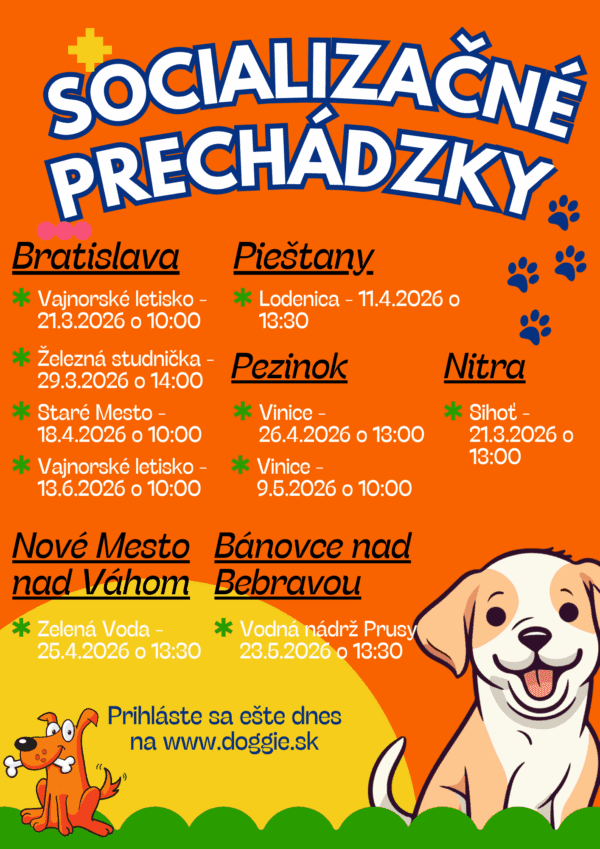 Špeciálny výcvik - socializačná prechádzka