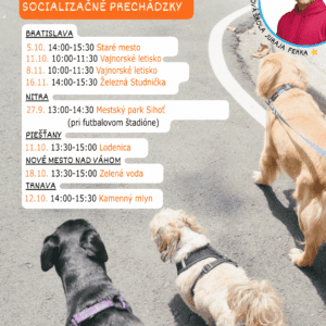 Špeciálny výcvik - socializačná prechádzka