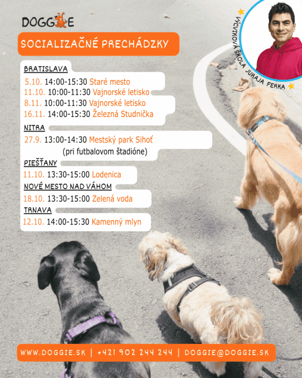 Špeciálny výcvik - socializačná prechádzka
